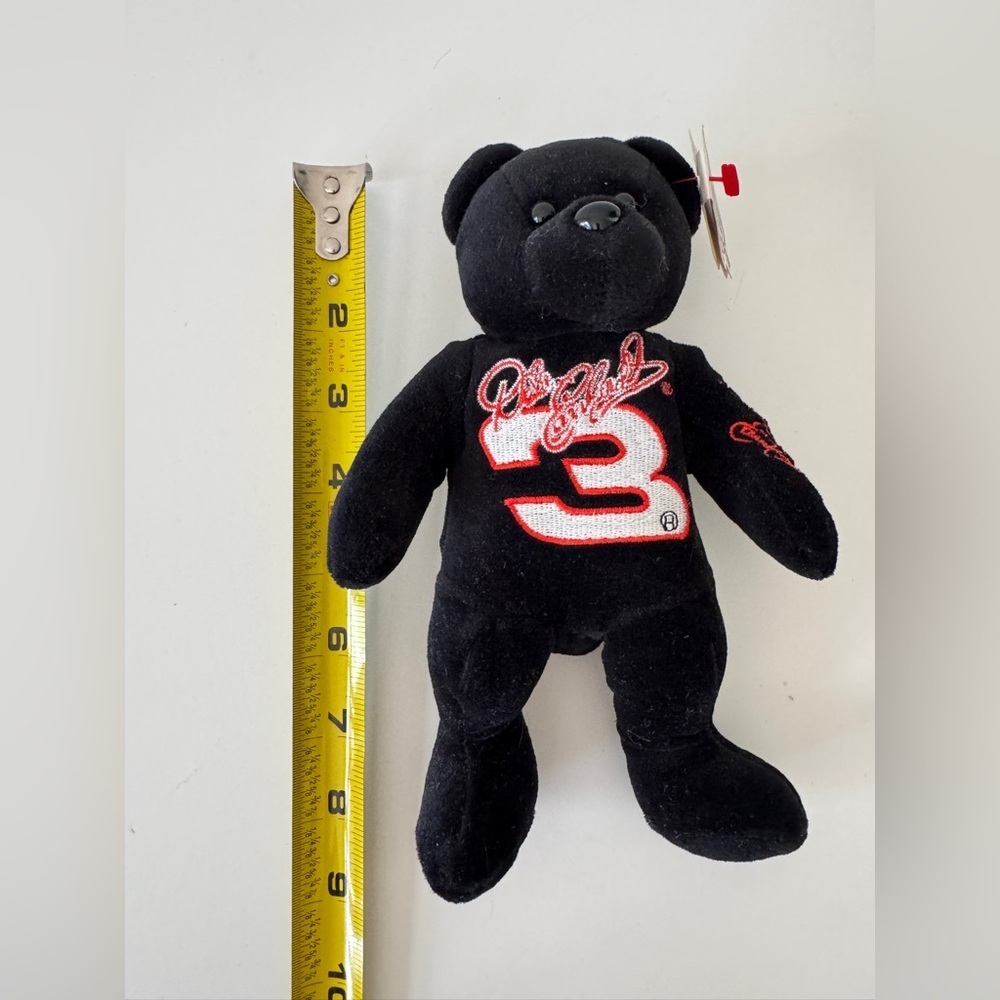 Avon Dale Jr Black Plush Bear NASCAR - Picture 6 of 6
